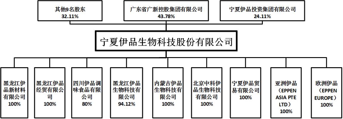 宁夏伊品生物科技股份有限公司股权结构图-新.jpg